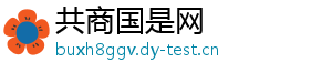 共商国是网